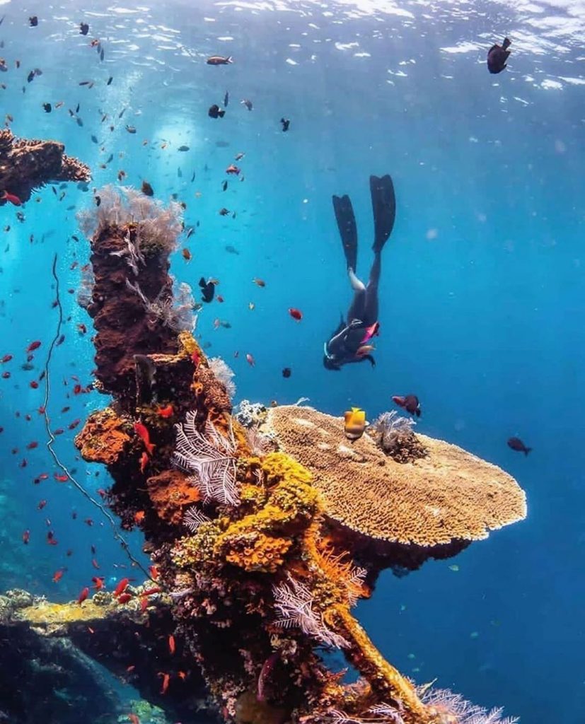 Make the Choice: Which Bali Dive Sites to Visit
