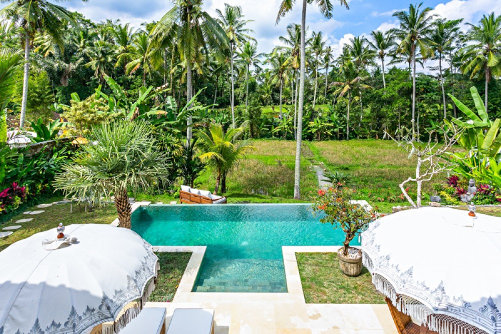 villa ubud with a private pool and relaxing ambience